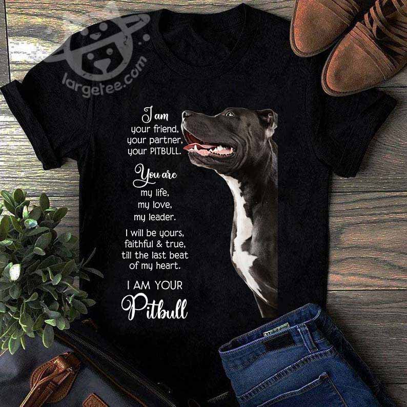 I am your friend, your partner, your Pitbull