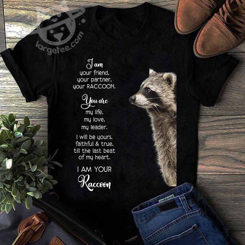 I am your friend, your partner, your Raccoon