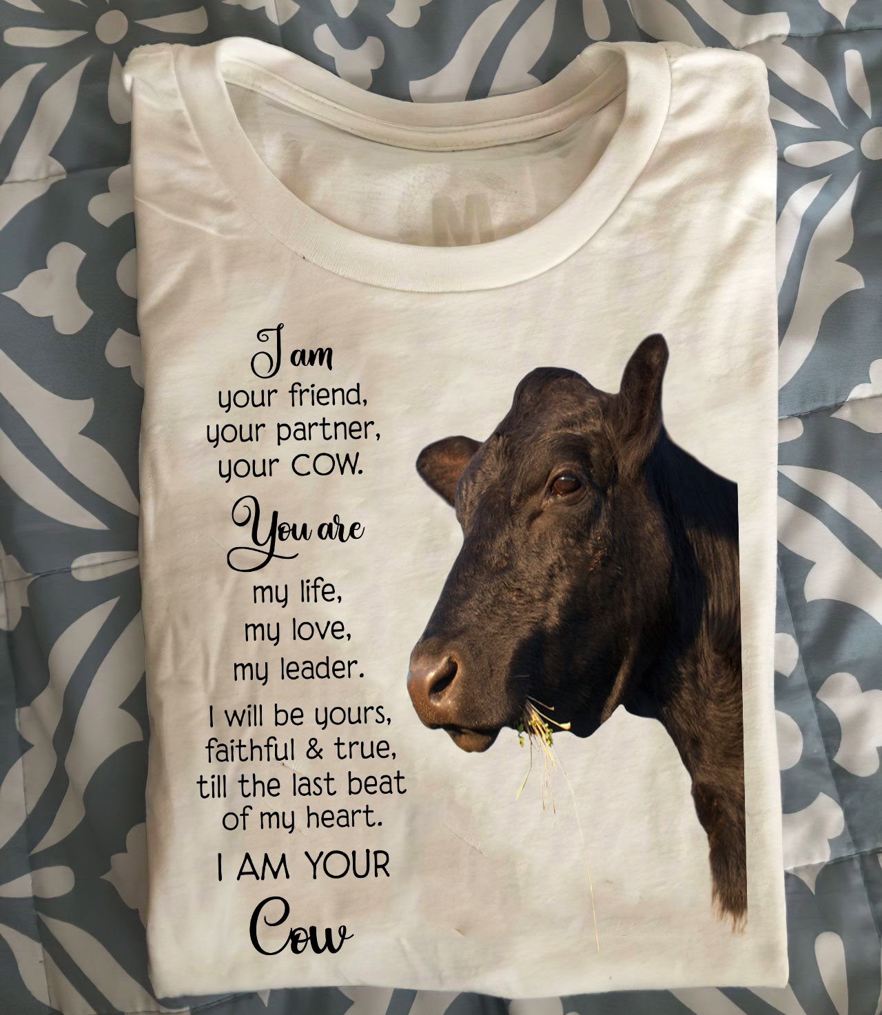 I am your friend, your partner, your cow - Black cow, cow lover