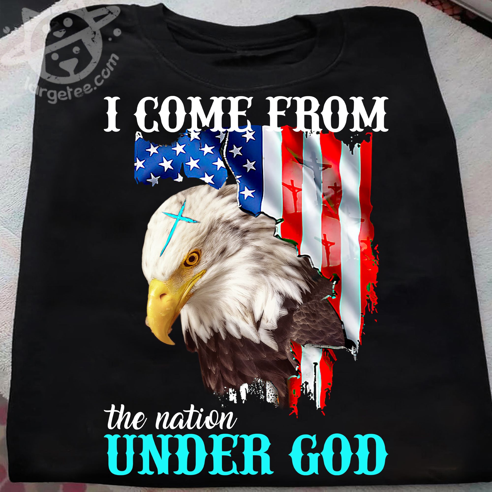 I come from the nation under god - America flag and eagle