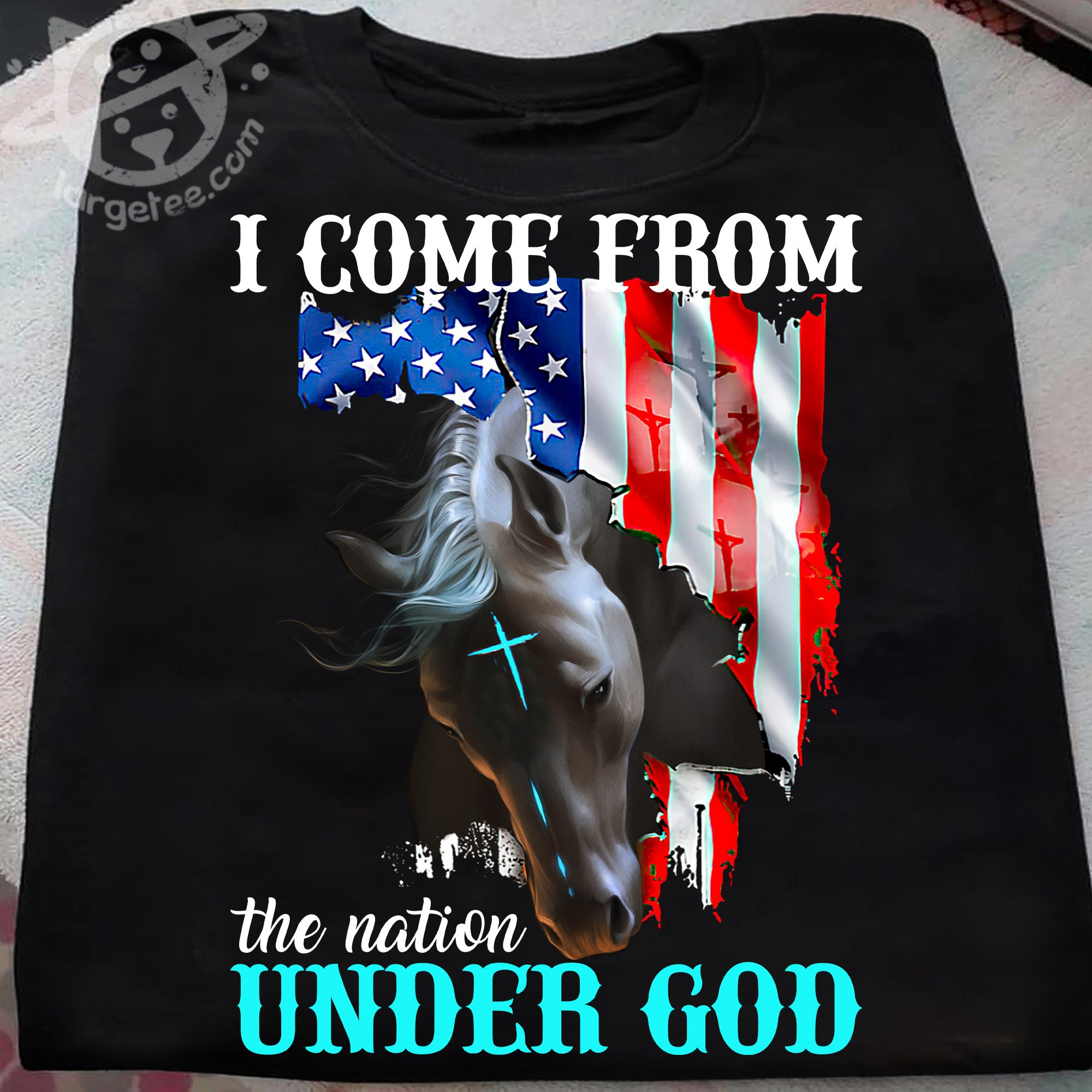 I come from the nation under god - America flag and horse