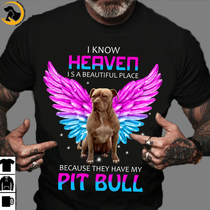 I know heaven is a beautiful place because they have my pitbull - Pitbull with wings