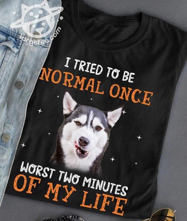 I tried to be normal once - Grumpy husky dog