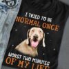 I tried to be normal once worst two minutes of my life - Blue weimaraner
