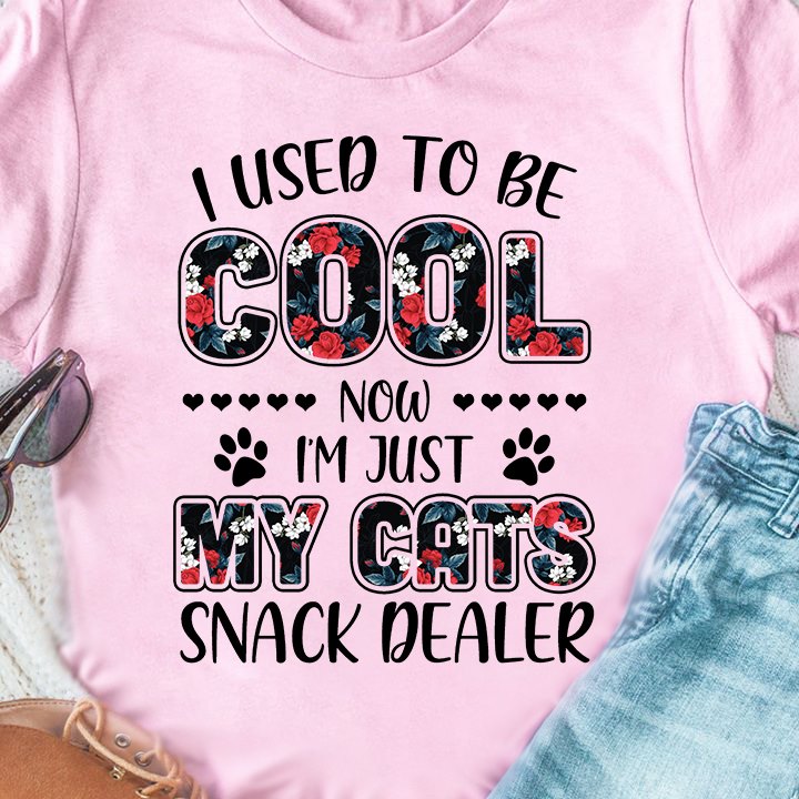 I used to be cool now I'm just my cats snack dealer