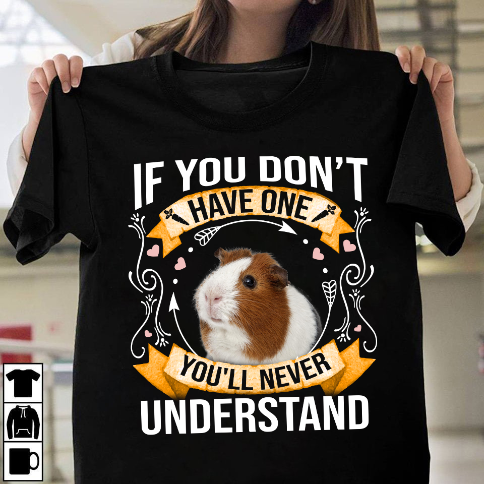 If you don't have on You'll never understand - Guinea pig