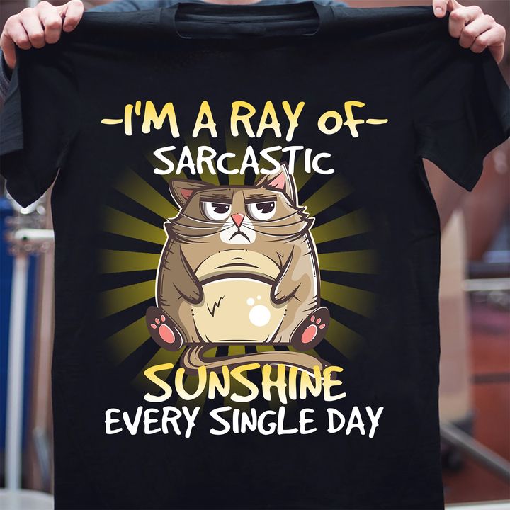 I'm a ray of sarcastic sunshine every single day - Cat lover