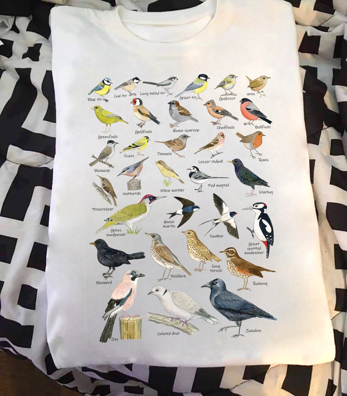 Kinds of birds - Bird lover, goldcrest bird