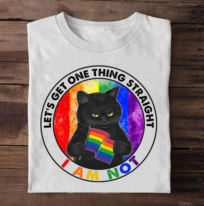 Let's get one thing straight I am not - Lgbt community, cat lover