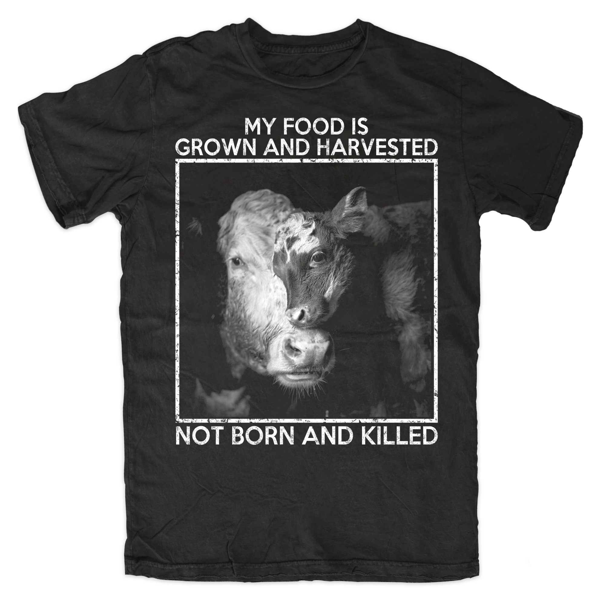 My food is grown and harvested not born and killed - Cow lover