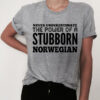 Never underestimate the power of a stubborn Norwegian