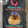 Not only does my mind wander sometimes it walks off completely - Pomeranian dog