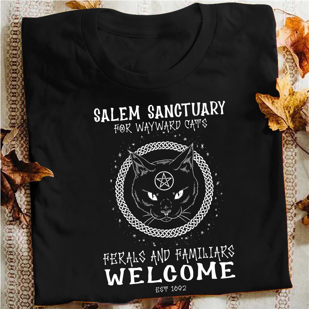 Salem sanctuary for wayward cats ferals and familiars welcome - Cat lover