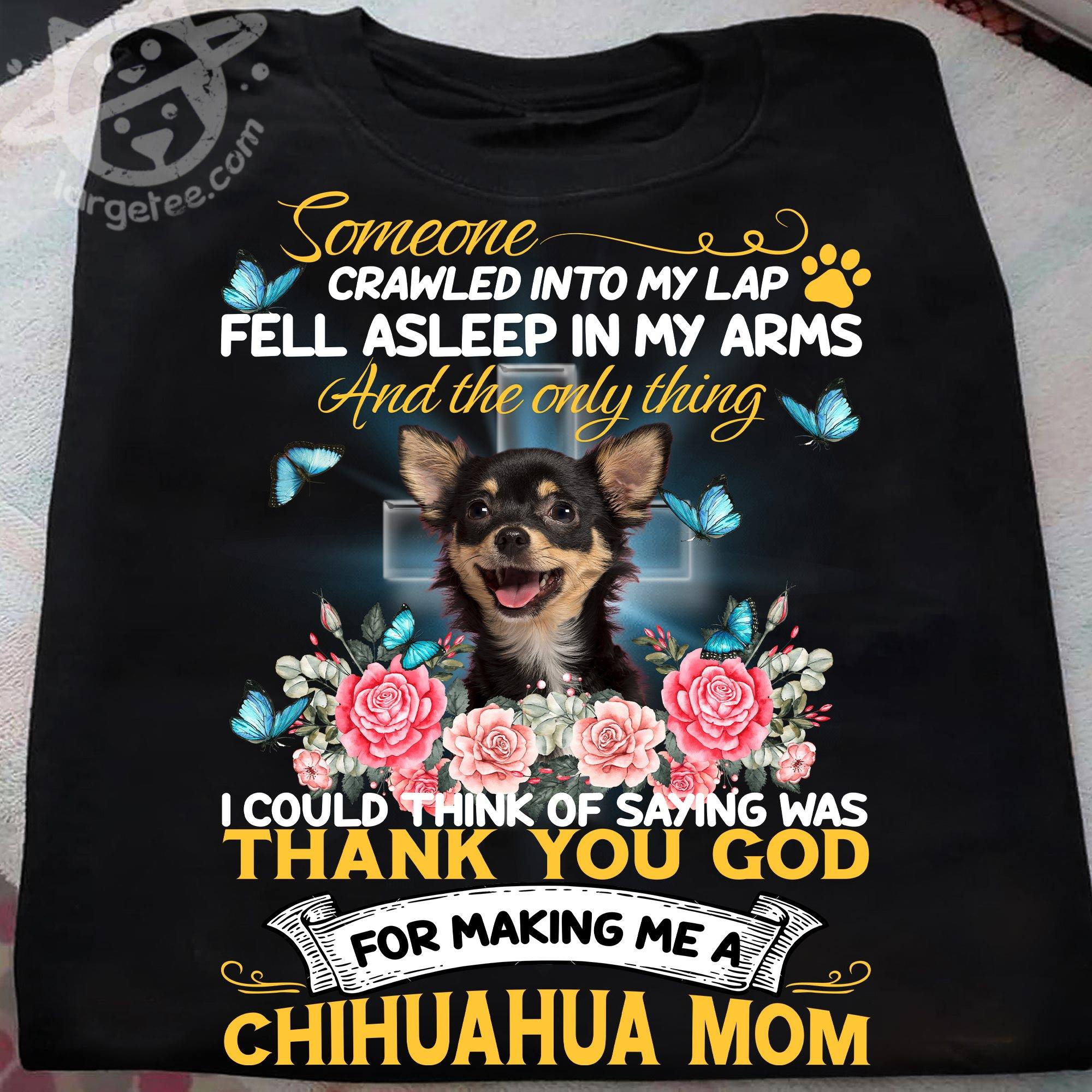 Someone crawled into my lap fell asleep in my arms and the only thing I could think of saying was thank you god - Chihuahua dog