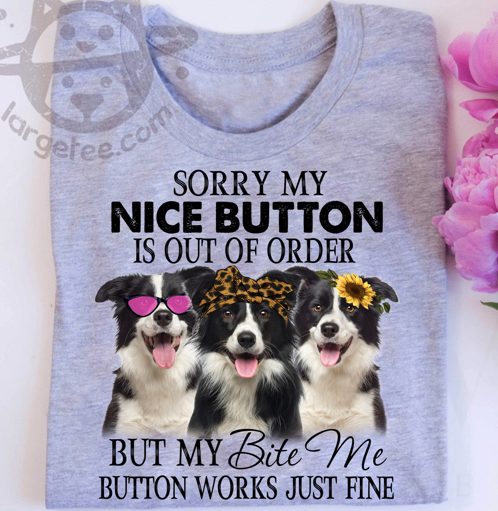 Sorry my nice button is out of order but my bite me button works just fine - Border Collie dog