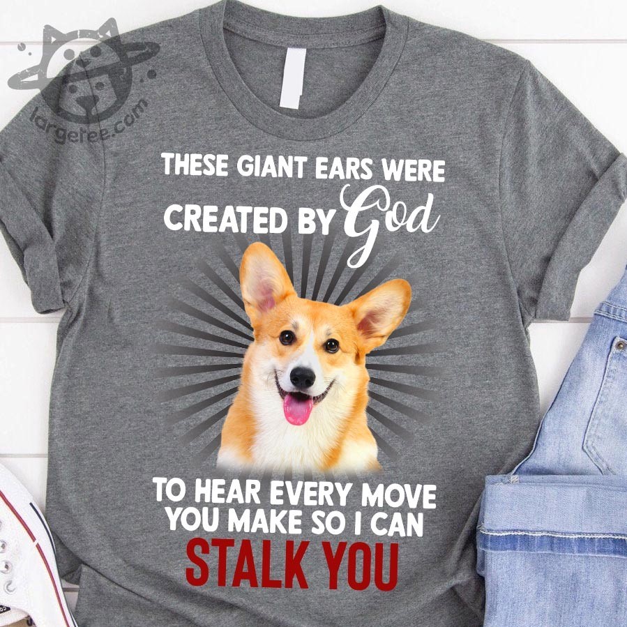 These giant ears were created by god to hear every move you make so a can stalk you - Corgi dog