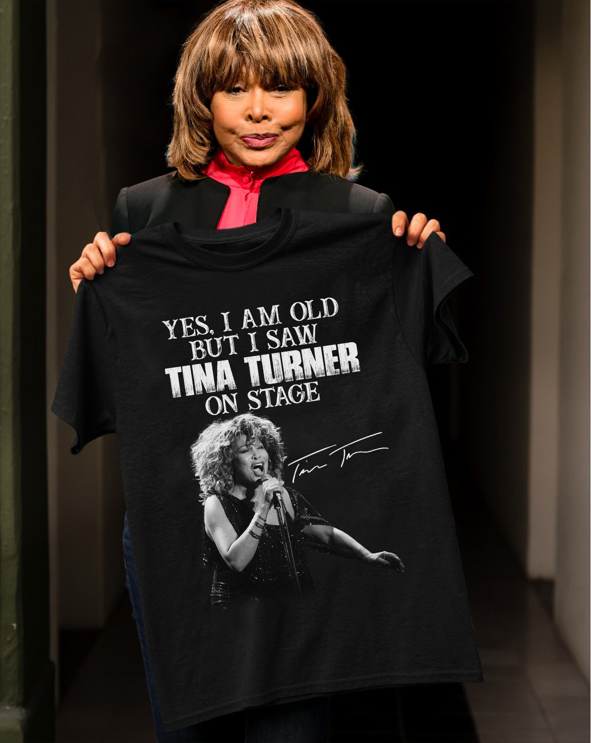 Yes I am old but I saw Tina Turner on stage - Tina Turner singer