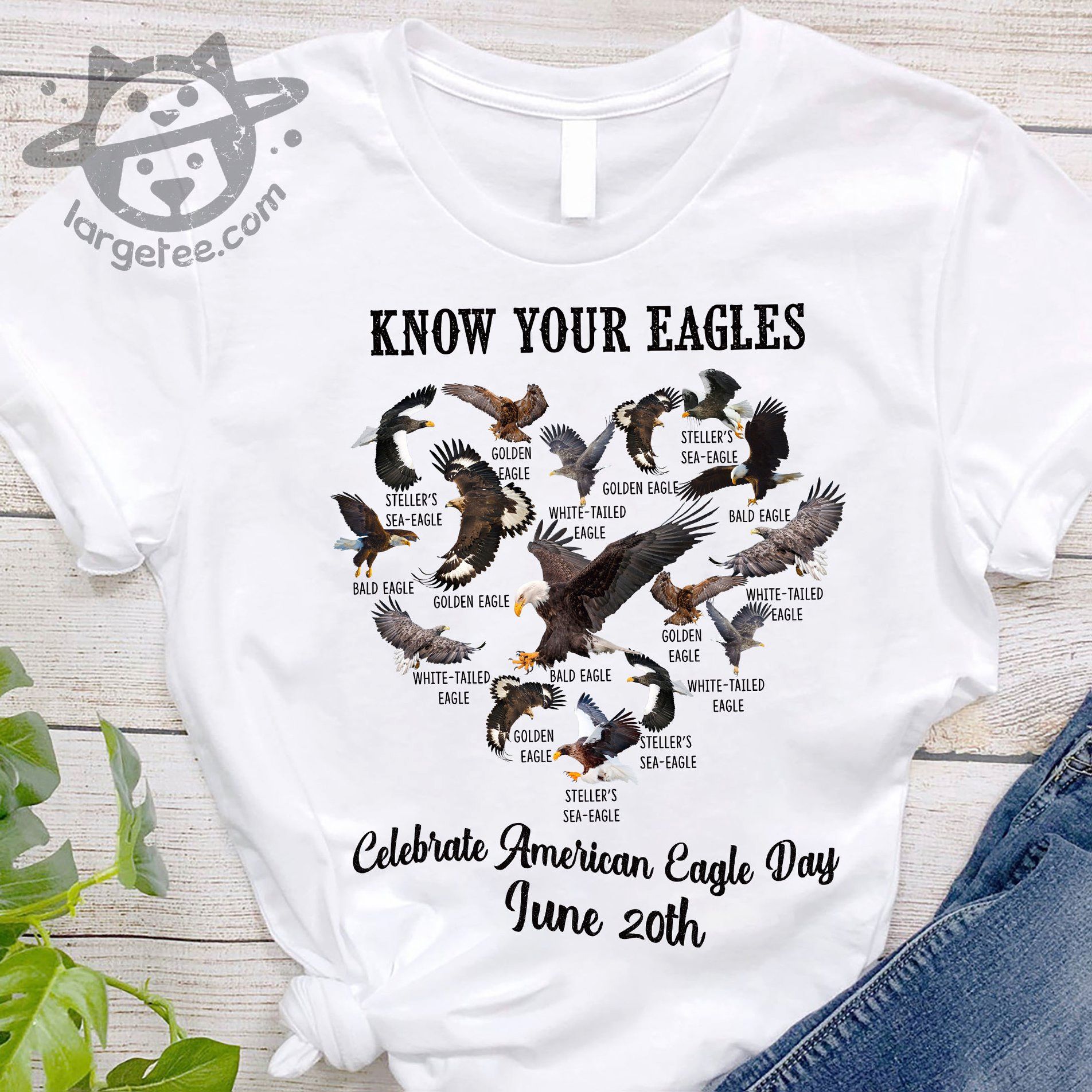 Eagle Lover – Know your eagles celebrate American eagle day june 20th