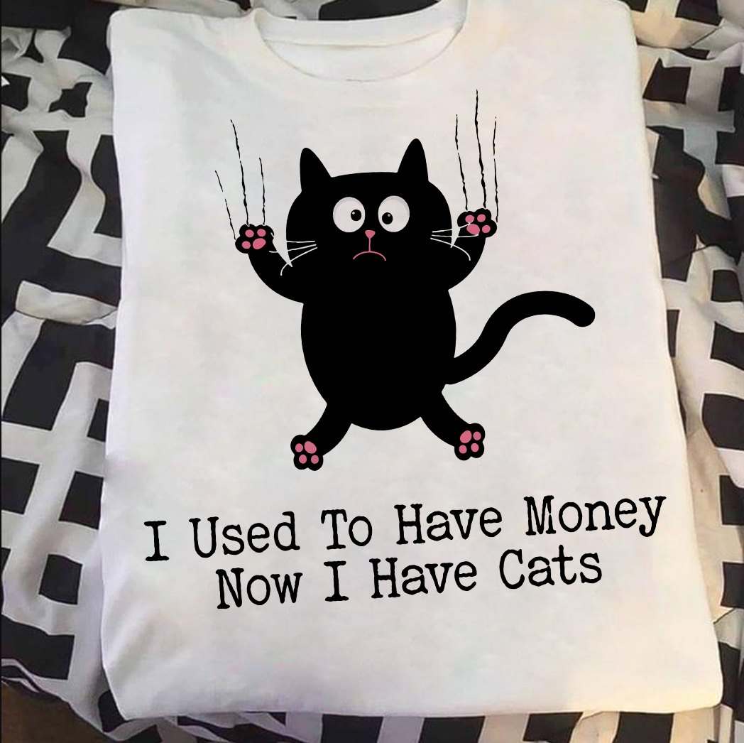 Funny Black Cat - I used to have money now i have cats