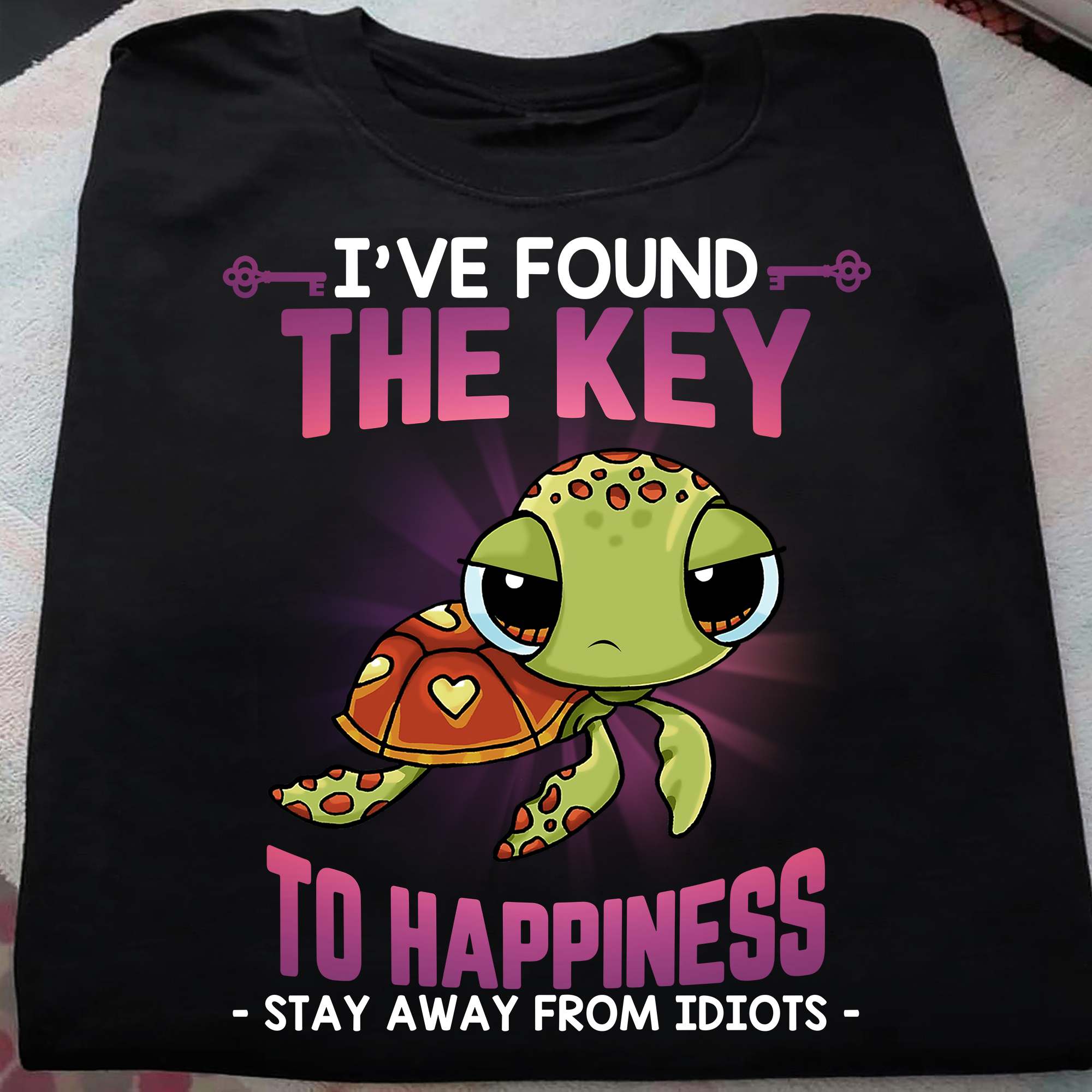 Grumpy Turtle - I've found the key to happiness stay away from idiots