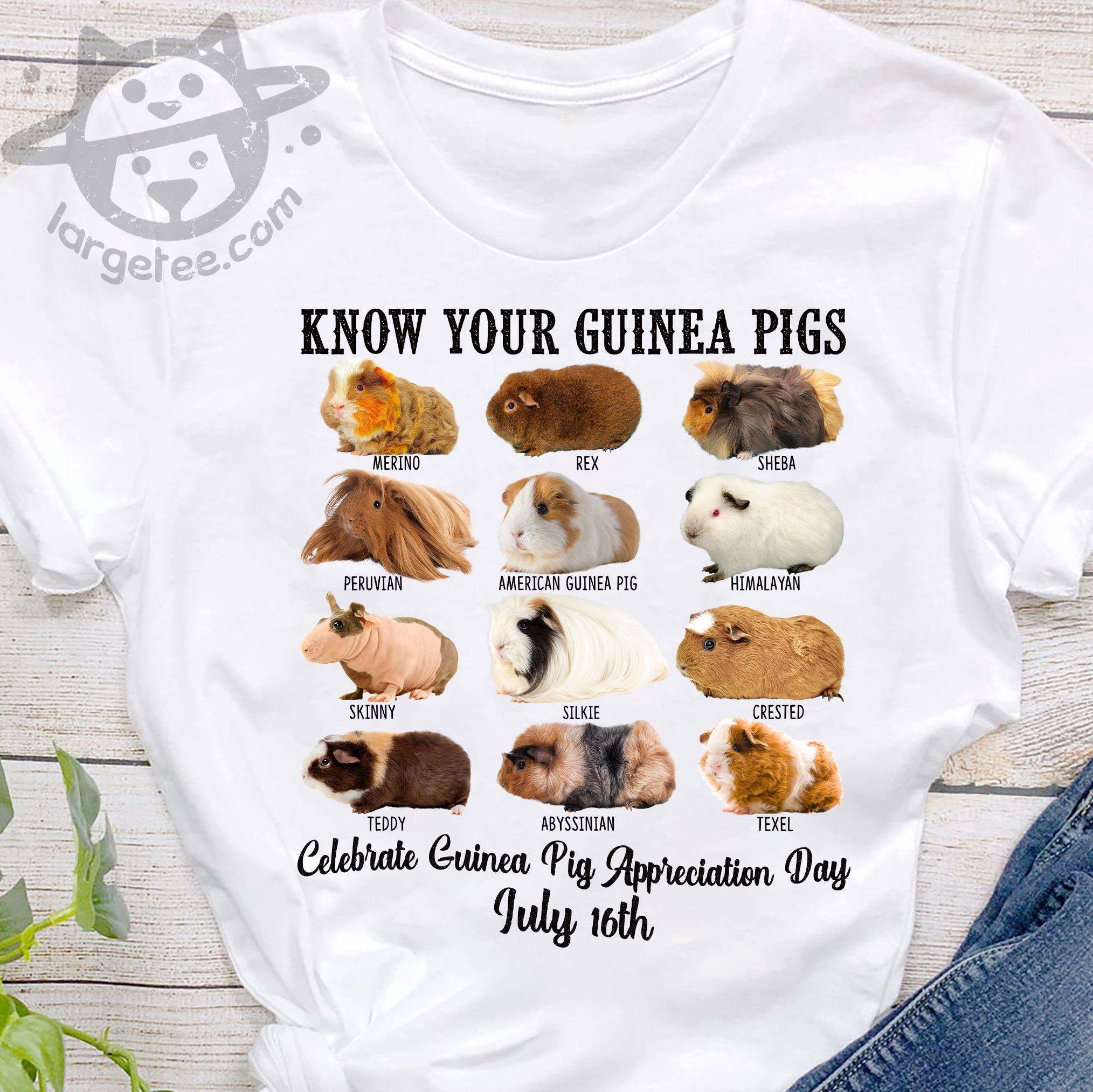 Guinea Pigs - Know your guinea pigs Celbrate guinea pig appreciantion day July 16th