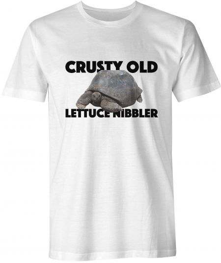 Old Turtle - Crusty old lettuce nibbler
