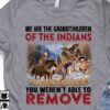 Native American Indians, Horse And Eagle - We are the grandchildren of The Indians, you weren't able to remove