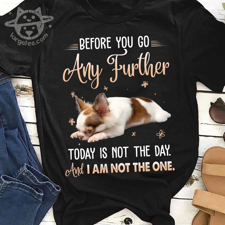 Before you go any further today is not the day and I am not the one - Chihuahua dog