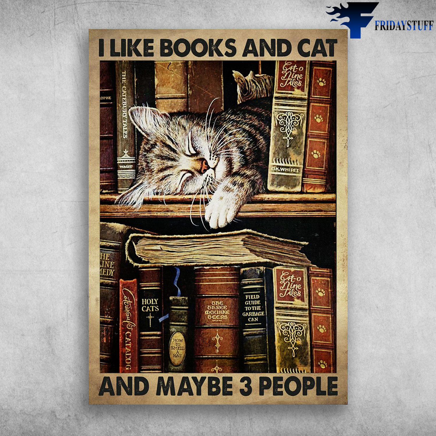 Cat Sleeping On Bookshelf - I Like Books, And Cat, And Maybe 3 People