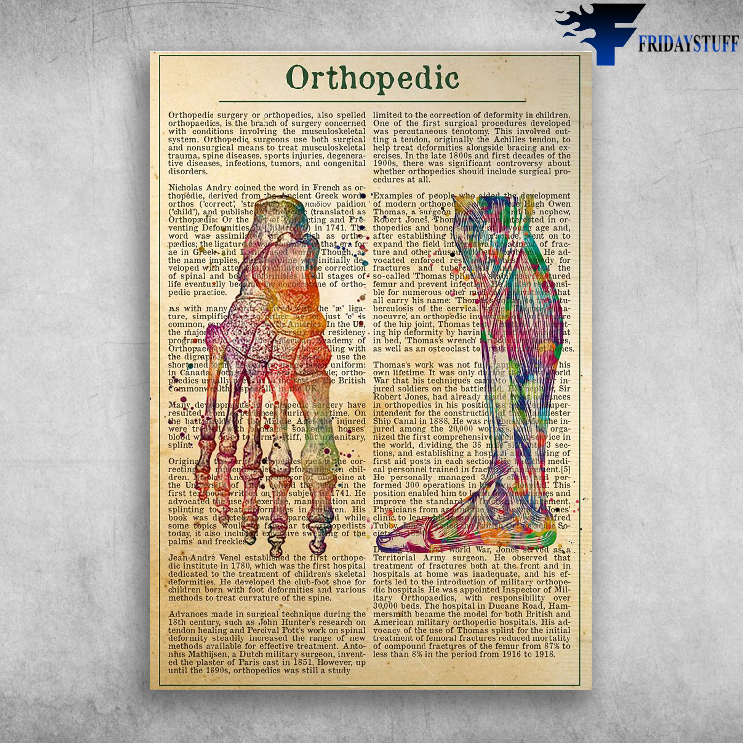 Foot Orthopedic - Leg Bone, Leg Model, Human Leg