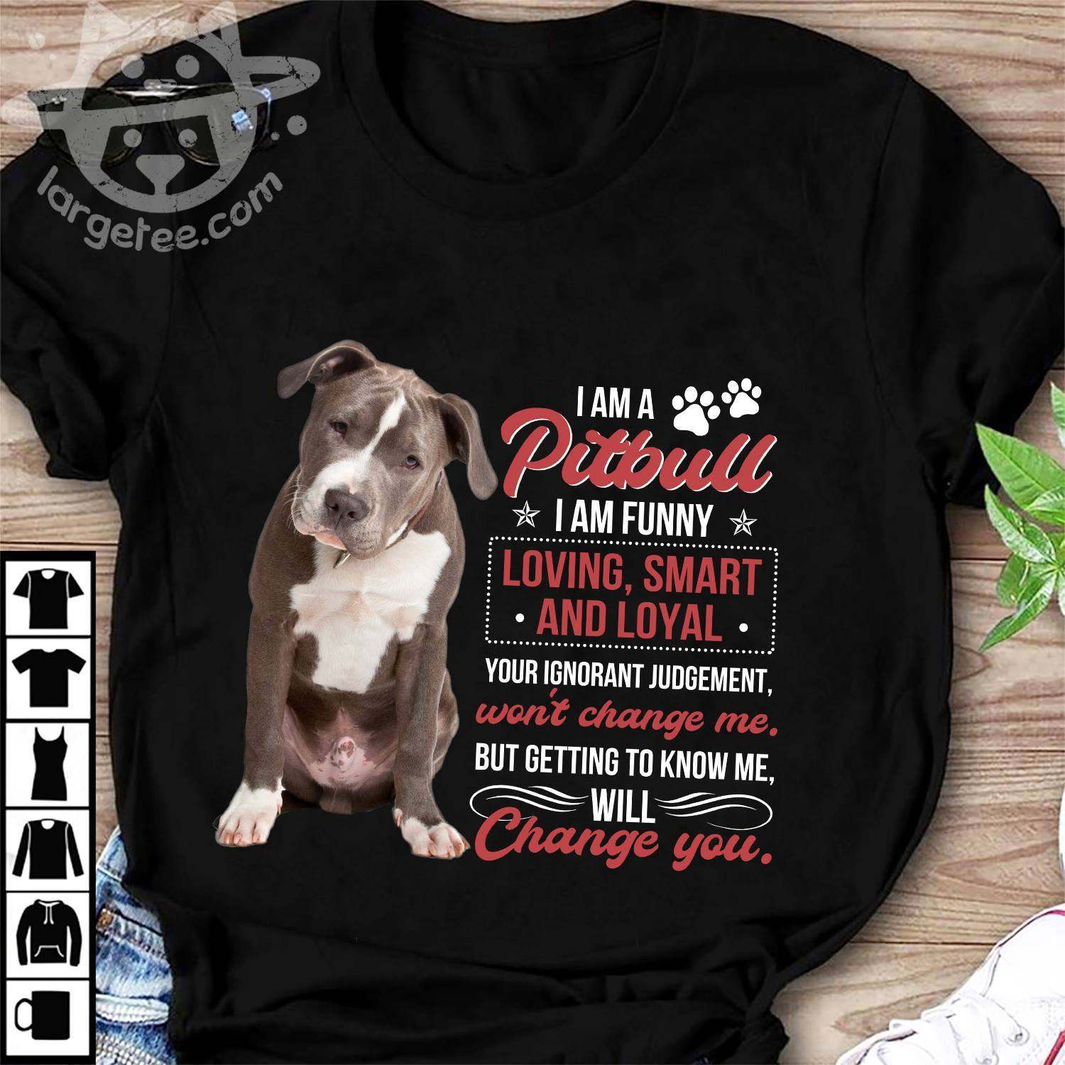 I am a pitbull I am funny loving, smart and loyal - Pitbull dog
