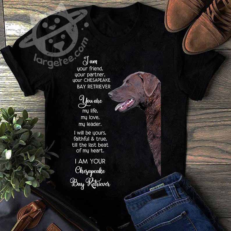 I am your friend, your partner, your Chesapeake bay retriever - Dog lover