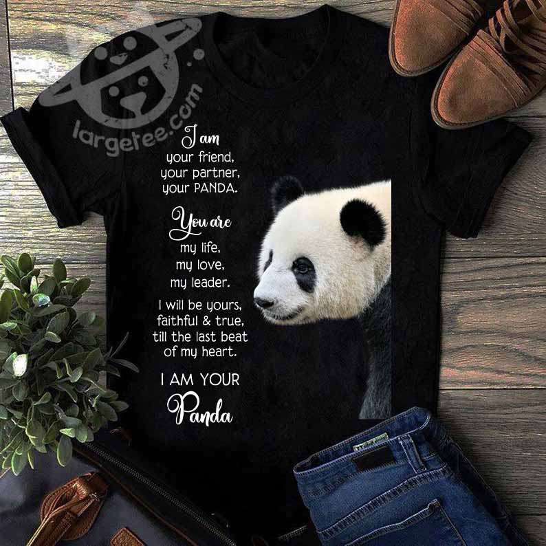 I am your friend, your partner, your panda - China panda