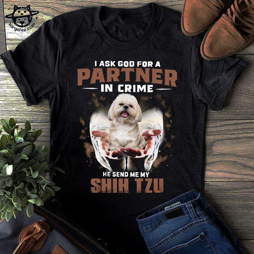 I ask god for a partner in crime he send me my Shih Tzu - God send dog