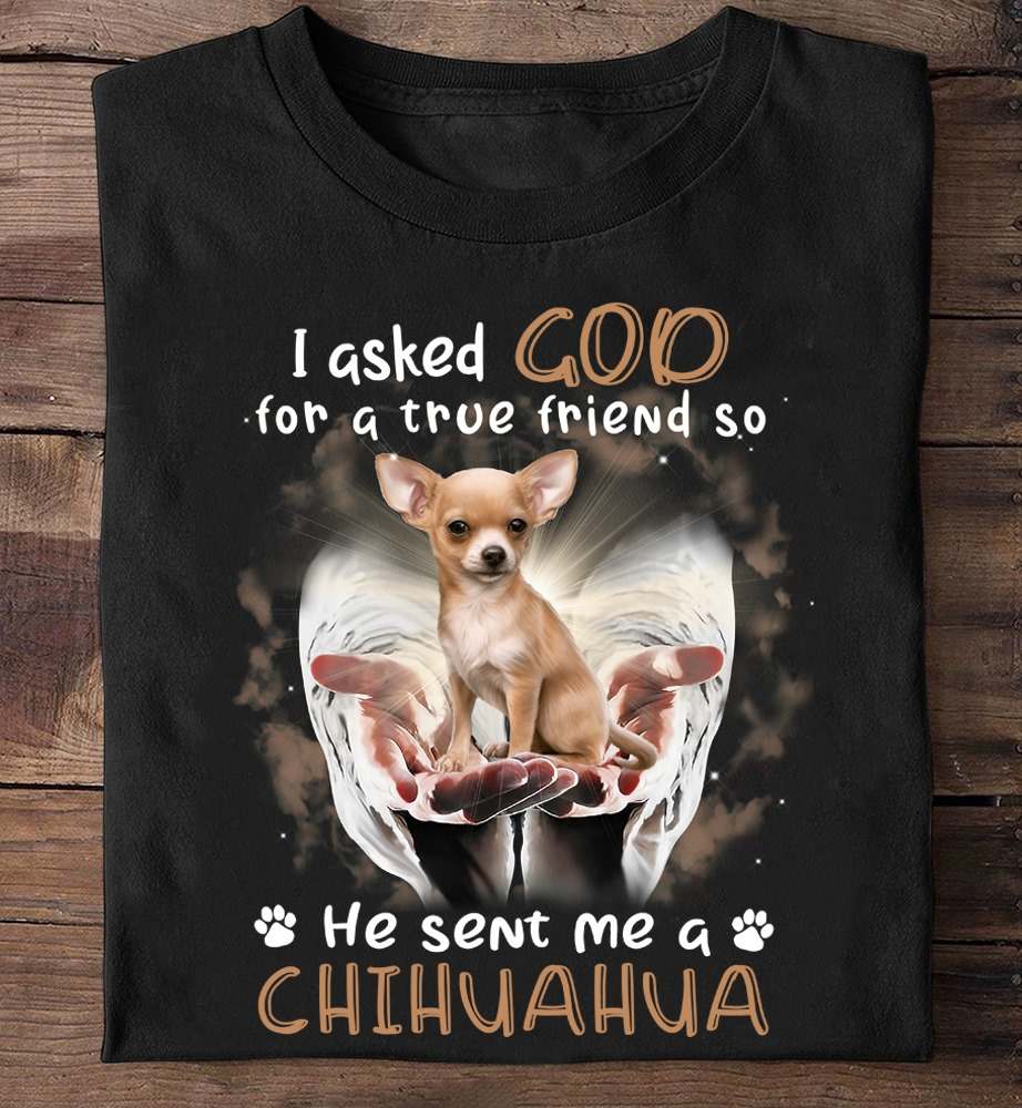 I asked god for a true friend so he sent me a Chihuahua - Chihuahua true friend