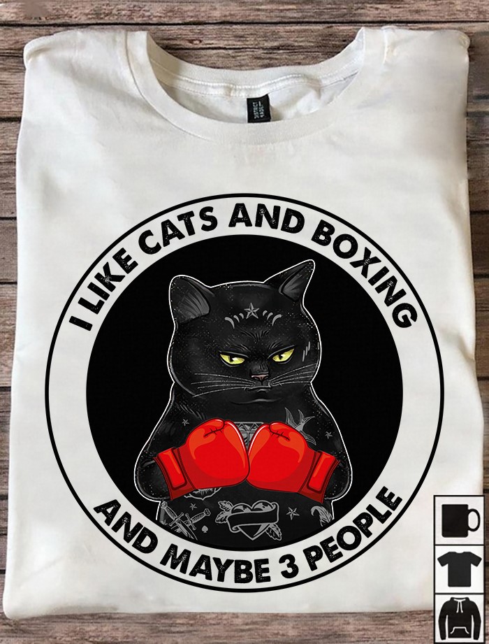 I like cats and boxing and maybe 3 people - Cat love boxing