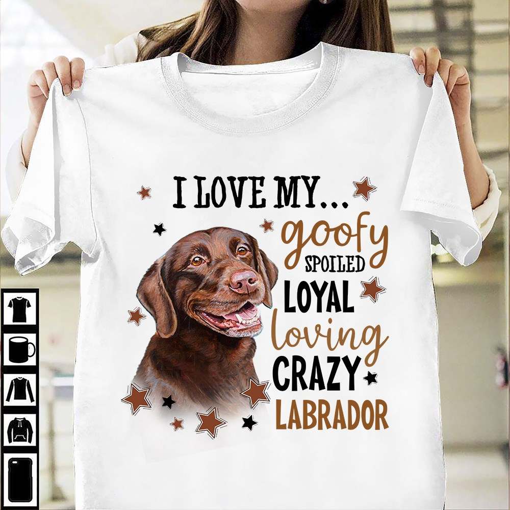 I love my goofy spoiled loyal loving crazy Labrador - Labrador dog