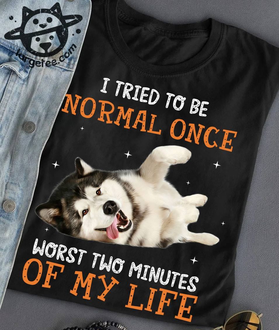 I tried to be normal once worst two minutes of my life - Husky dog