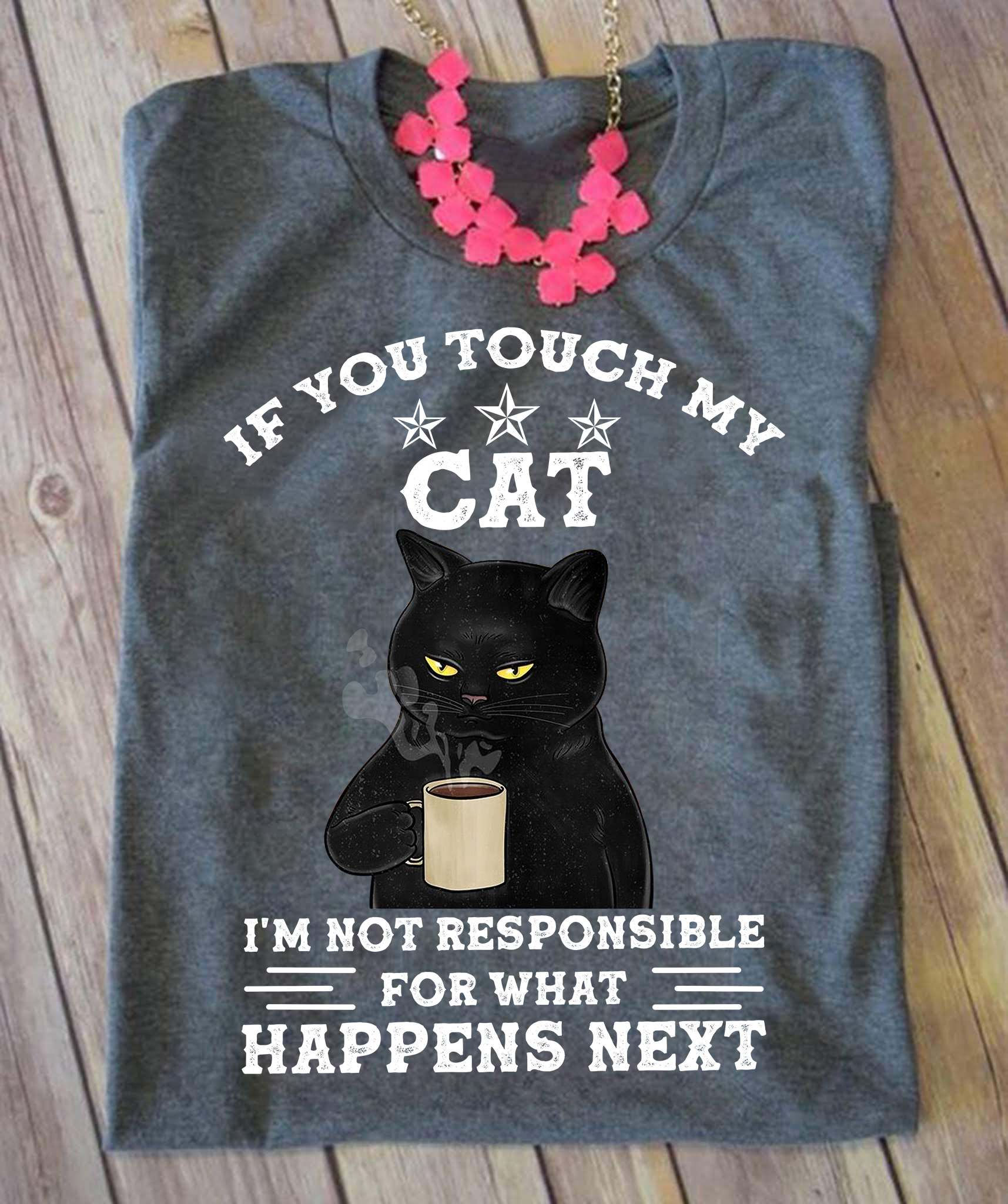 If you touch my cat I'm not responsible for what happens next - Cat lover