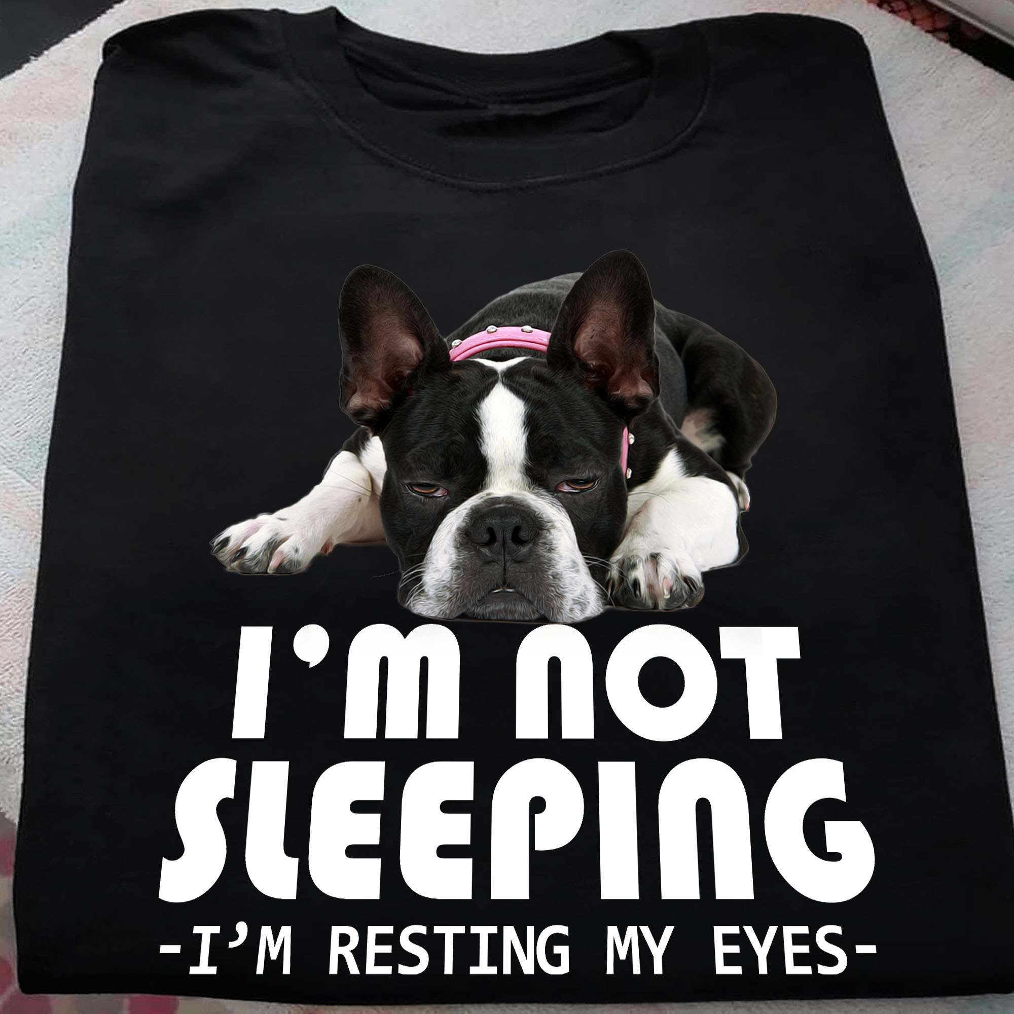 I'm not sleeping I'm resting my eyes - Boston Terrier dog