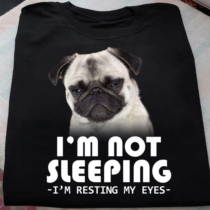 I'm not sleeping I'm resting my eyes - Pug dog sleepy