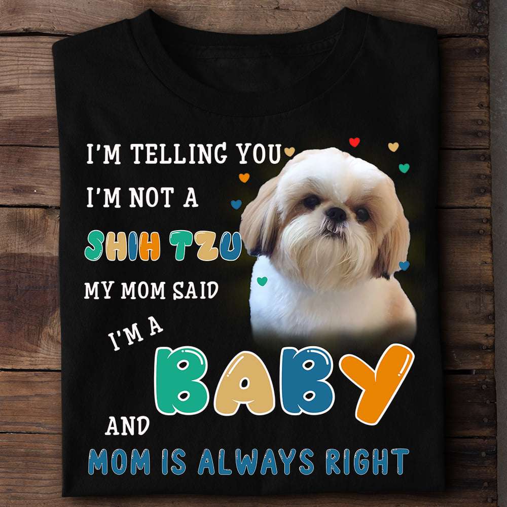 I'm telling you I'm not a Shih Tzu my mom said I'm a baby - Shih Tzu baby, dog mom