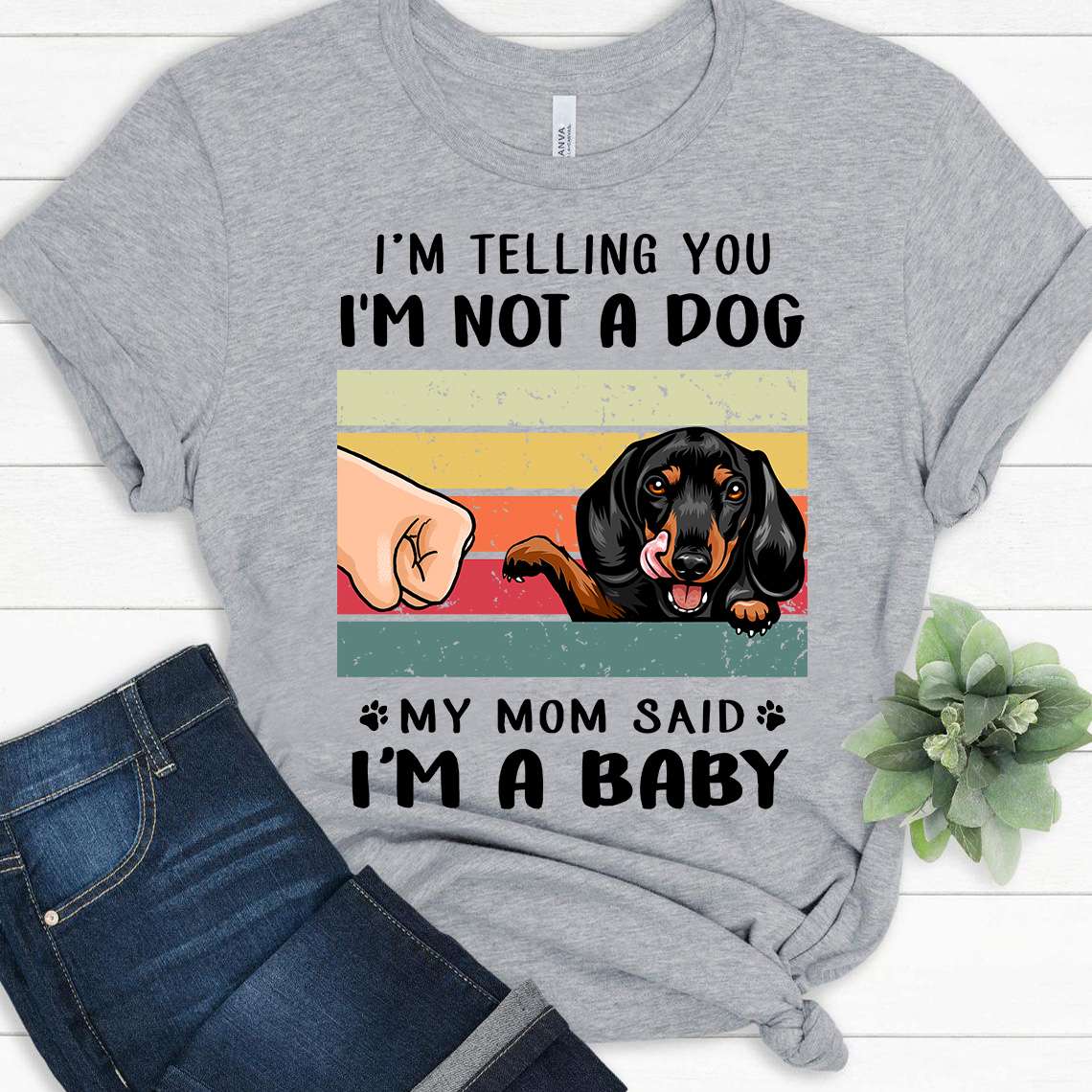 I'm telling you I'm not a dog my mom said I'm a baby - Baby dachshund dog