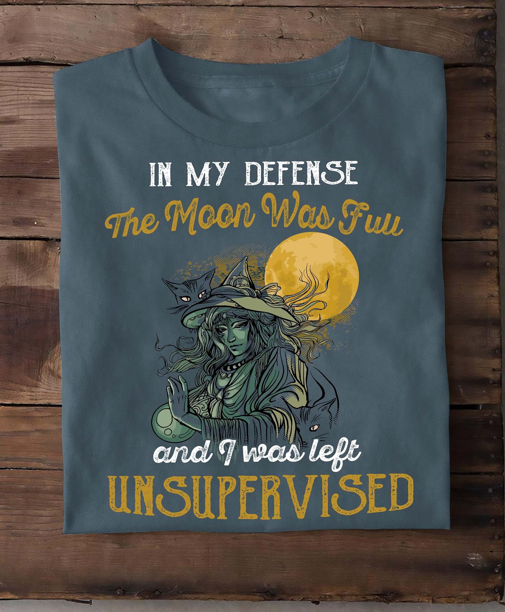 In my defense the moon was full and I was left unsupervised - Witch and cat