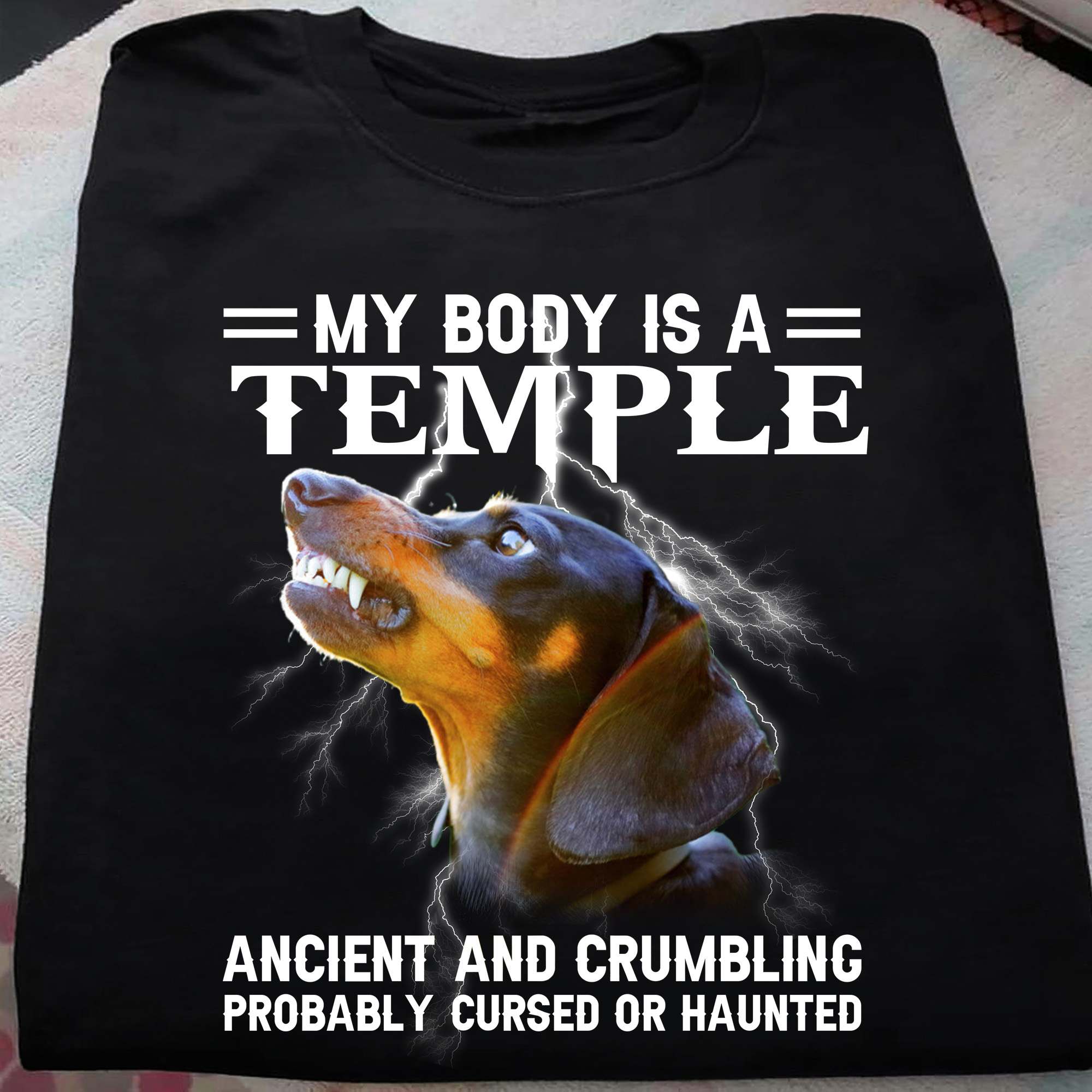 My body is a temple ancient and crumbling probably cursed or haunted - Grumpy Dachshund dog