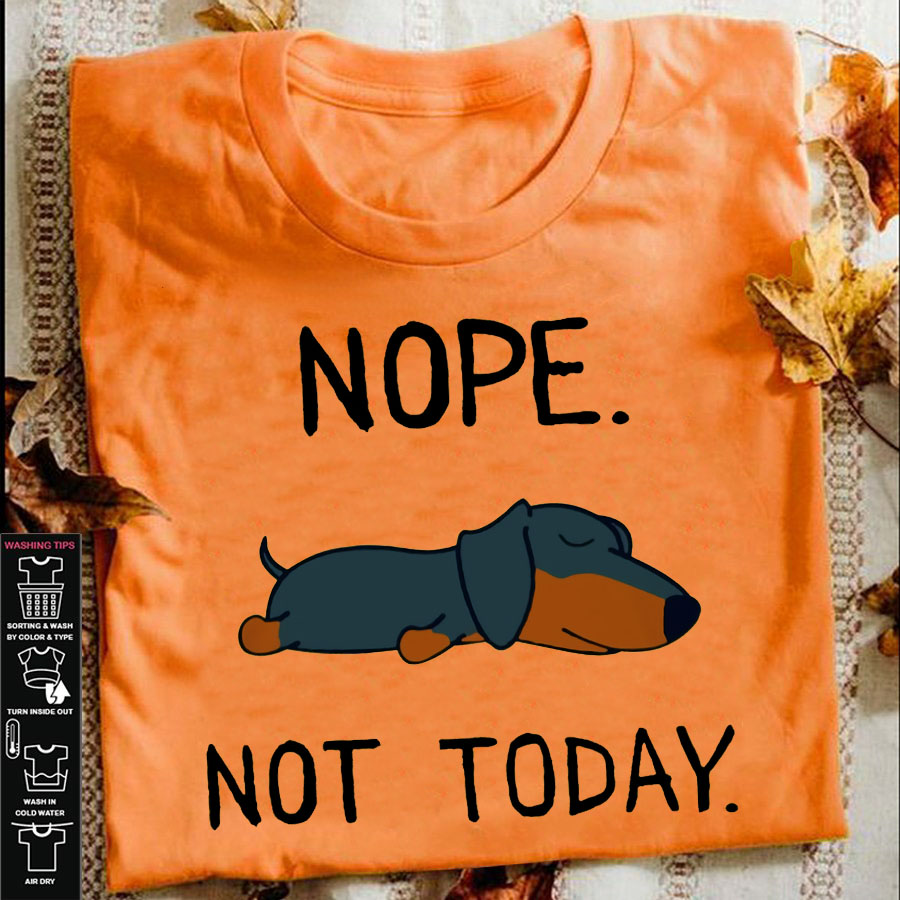 Nope not today - Sleeping dachshund dog, dog lover
