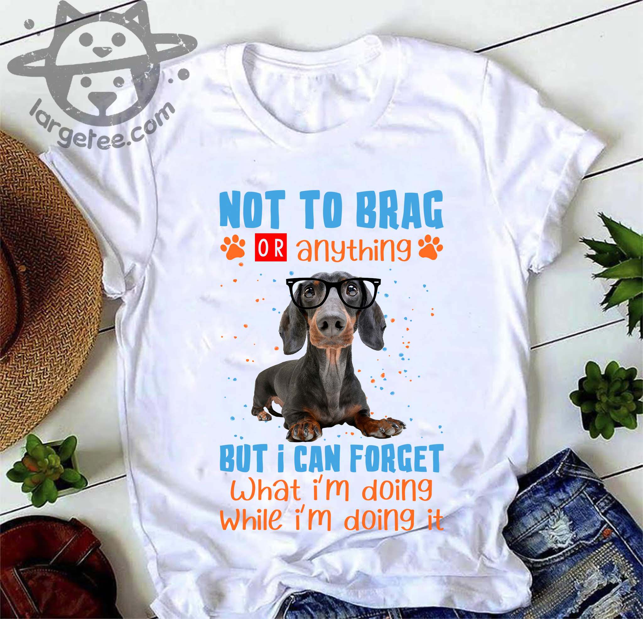 Not to brag or anything but I can forget what I'm doing while I'm doing it - Dachshund dog