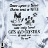 Once upon a time there was a witch who really loved cats and crystals - Crystal witch