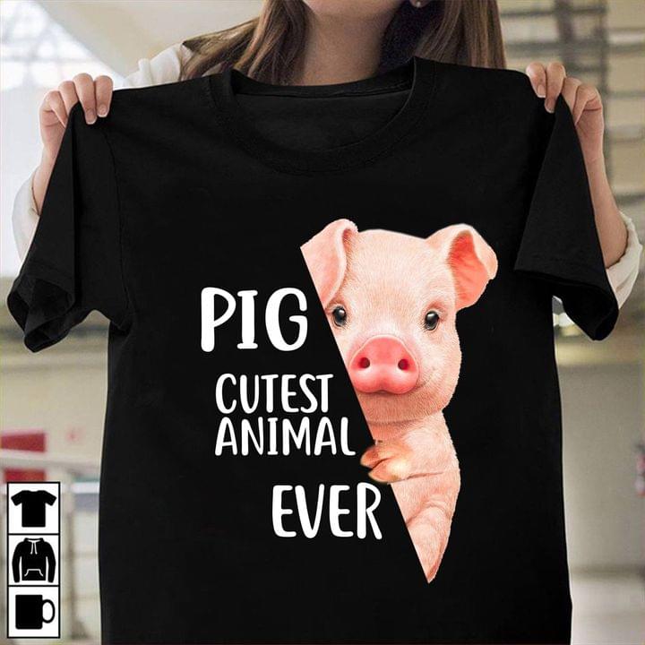 Pig cutest animal ever - Pig lover, gorgeous pig
