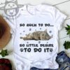So much to do so little desire to do it - Lazy cat, cat lover